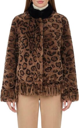 Gorski Genuine Shearling Jacket With Fringes in Lprd/black at Nordstrom, Size X-Small