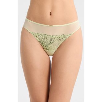 Chantelle Legend Embroidered Tulle Thong in Wild Pistachio at Nordstrom, Size X-Large