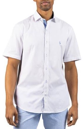 Tailorbyrd Signature Cotton Oxford Button-Up Shirt in White at Nordstrom Rack, Size Xxx-Large