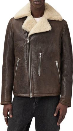 AllSaints Xylon Shearling Lined Leather Biker Jacket in Bark Wood Brown at Nordstrom, Size X-Large