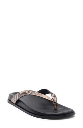 Paige Zadie Flip Flop in Tan Multi at Nordstrom, Size 10.5