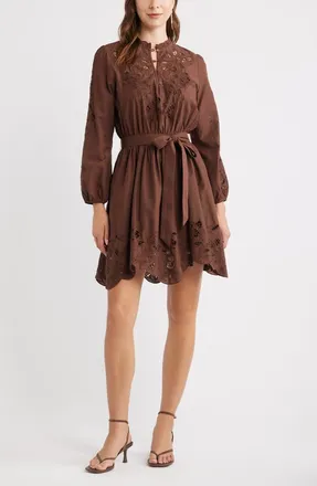 Chelsea28 Embroidered Long Sleeve Tie Waist Minidress in Brown Bitter at Nordstrom, Size Xx-Small