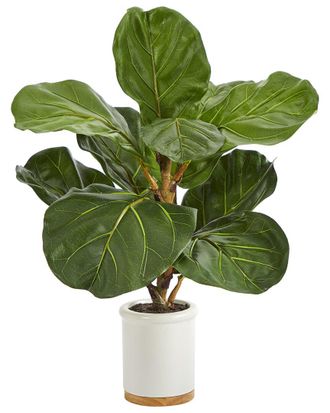Nearly Natural Fiddle Leaf Artificial Tree In White Ceramic Planter