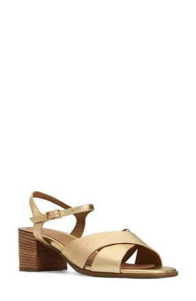 Aquatalia Domenica Weatherproof Ankle Strap Sandal in Platino Nappa at Nordstrom, Size 8.5