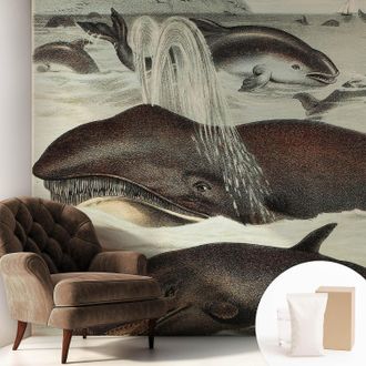 Tulup Carta Da Parati In Vlies - Fotomurale - Decorazione Paretie - Per Camera Da Letto - Per Soggiorno - Con Colla Gratuita Creature Marine 250x250 Cm