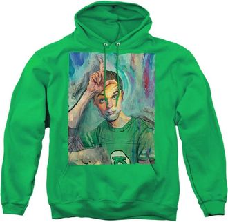 Gildan Big Bang Theory Sheldon Painting Adult Pull Over Hoodie / Hooded Sweatshirt