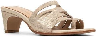 Donald J Pliner Dayvi Toe Loop Sandal in Platinum at Nordstrom, Size 6.5
