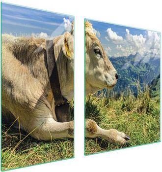 OEM Placa Protectora De Vidrio Para Estufa 90x52 Vaca