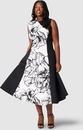 Coast Plus Colour Block Scuba Midi Dress in Mono at Nordstrom, Size 14