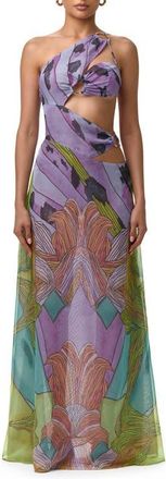 Naked Wardrobe Print Sheer Chiffon Cutout Maxi Dress in Lethal Botanical at Nordstrom, Size X-Small