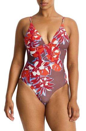Sea Level Australia Triangle One-Piece Swimsuit in Chocolate at Nordstrom, Size 6 Us