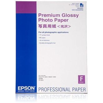 Epson Premium Glossy Photo Paper Papel Fotogr&aacute;fico Brillo