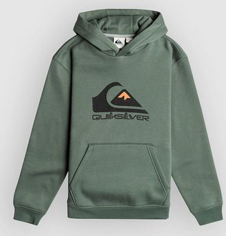 Quiksilver Big Logo Kids Hoodie groen
