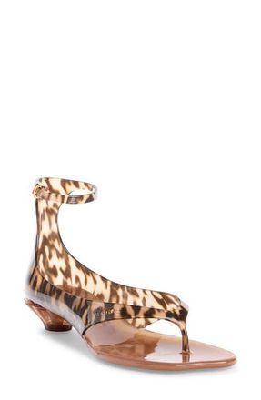 Chlo&eacute; Ankle Strap Jelly Sandal in Black Brown at Nordstrom, Size 10Us