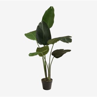 Sklum Planta Artificial Decorativa Strelitzia Sklum