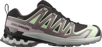 Salomon XA Pro 3D V9 GTX Multisportschuhe f&uuml;r Damen | grau