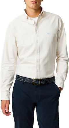 Rodd & Gunn Oxford Sports Fit Shirt in Natural at Nordstrom, Size Xxx-Large