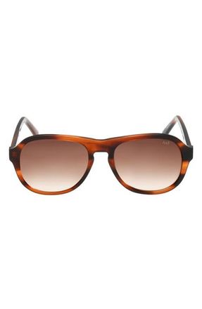 Abercrombie & Fitch 55mm Oval Sunglasses in Brown Horn /Brown at Nordstrom