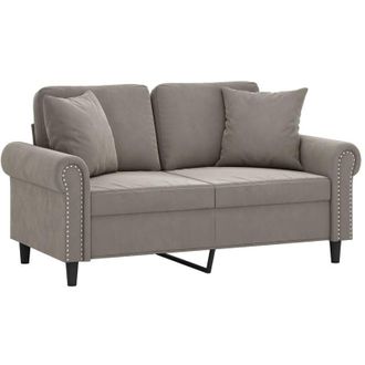 vidaXL Sof&aacute; 2 Plazas Almohadas Y Cojines Terciopelo Gris Claro 120 Cm Vidaxl