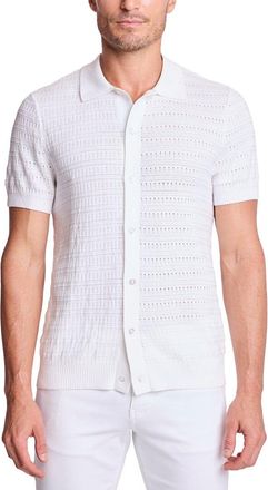 Paisley & Gray Polo Shirt