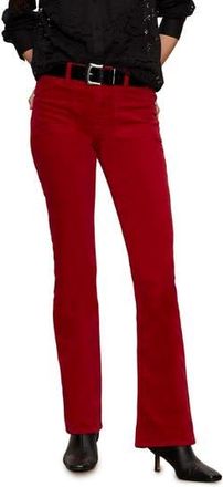 Sanctuary High Waist Bootcut Velveteen Pants in Cherry Red at Nordstrom Rack, Size 24 P