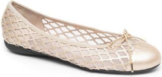 Paul Mayer Attitudes Brandy Mesh Ballet Flat in Gold at Nordstrom, Size 7.5