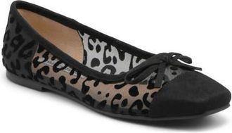 Charles by Charles David Simply Cap Toe Ballet Flat in Black Leopard at Nordstrom, Size 5.5