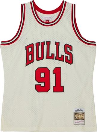 Mitchell & Ness Canotta Bulls 1997 - Toni neutri