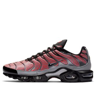 Nike Air Max Plus Euro Tour - Particle Grey CW7575-001