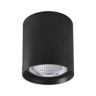 Netlighting Vetra Modern 1 Light Outdoor Surface Mounted Downlight LED 3000K in Black