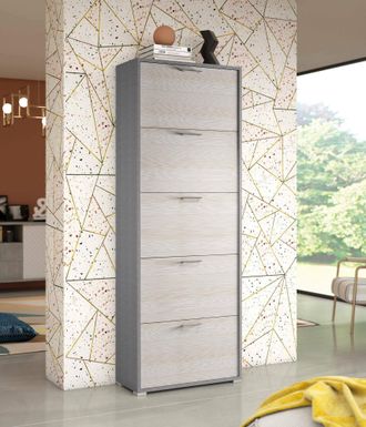 Dmora Zapatero Surfinia, Mueble De Entrada Polivalente Con 5 Puertas Abatibles, Zapatero De Doble Profundidad, 100% Made In Italy, Cm 67x28h183, Alerce, Con