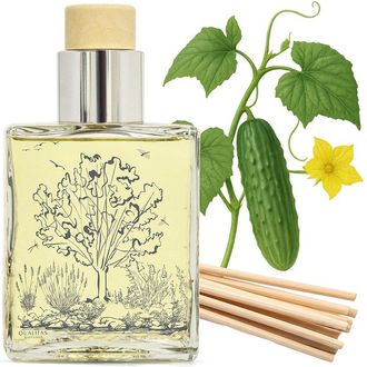 Qualitas Handmade Cucumber Reed Diffuser