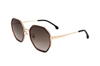 Carrera Unisex 53 mm Brown Horn Sunglasses