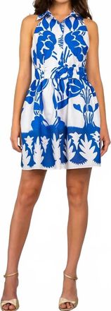 Lavender Brown Rayna Dress In Blue/ White