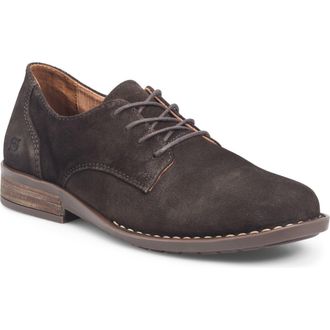 Børn Ryker Plain Toe Derby in Chocolate Suede at Nordstrom, Size 9.5