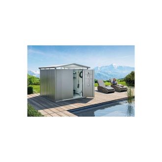 BIOHORT Caseta Cobertizo Metalica Panorama P5 Color Plata Metalizada Puerta Est&aacute;ndar