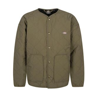 Dickies Groene Logo Jas voor Heren - Heren - Zomerjassen - Groen - XL - Jassen