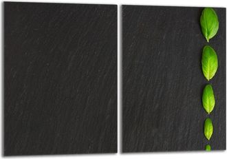 OEM Placa Protectora De Vidrio Para Estufa 2x40x52 Albahaca