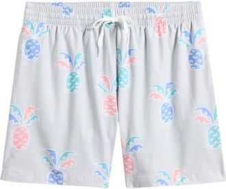 Chubbies Prickle Down Economics Swim Trunks in Light/pastel Grey at Nordstrom, Size Xx-Large