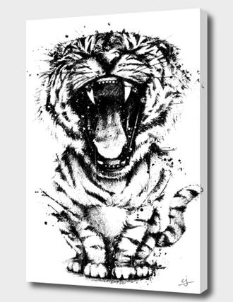 Curioos Meowr In Black