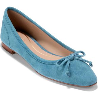 Cole Haan Paget Ballet Flat in Provincial Blue Suede at Nordstrom, Size 10.5