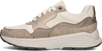 Xsensible Schoenen, Dames, Veelkleurig, 42 EU, Leer, Golden Gate Lady Sneakers Taupe