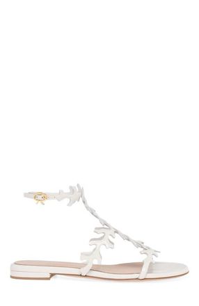 Gianvito Rossi Ocean Flat in White Nappa at Nordstrom, Size 35.5