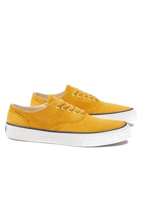 Fortela Redondo Suede Sneakers by Mr. Fliks in Banana at Nordstrom, Size 10.5