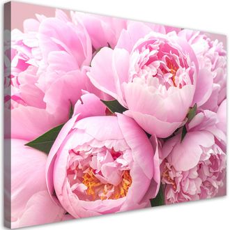 Feeby Impresi&oacute;n De Imagen, Rosa Peon&iacute;a Flores Naturaleza, 100x70