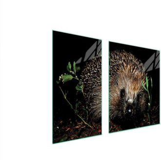 OEM Placa Protectora De Vidrio Para Estufa 90x52 Erizo