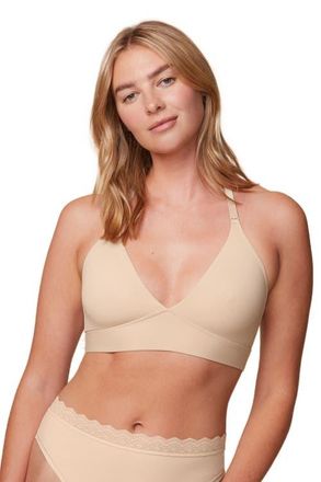 Harper Wilde Bliss Lace Halterneck Bralette in Beige at Nordstrom, Size 4X-Large