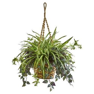 Nearly Natural 30-in Wandering Jew & Spider Artificial Plant in Hanging Basket in Green at Nordstrom