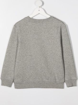 Polo Ralph Lauren Boys Grey Sweatshirt With Logo Cotton Hoods & Sweatshirts