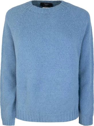 Max Mara Truien & Vesten, Dames, Blauw, XL, Katoen, Aere Trui